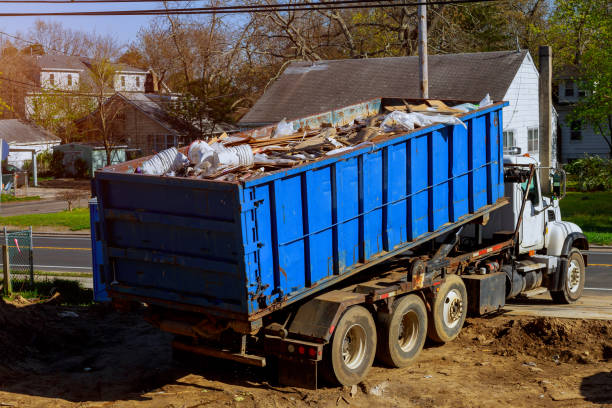 Best Shed Removal  in Lapel, IN